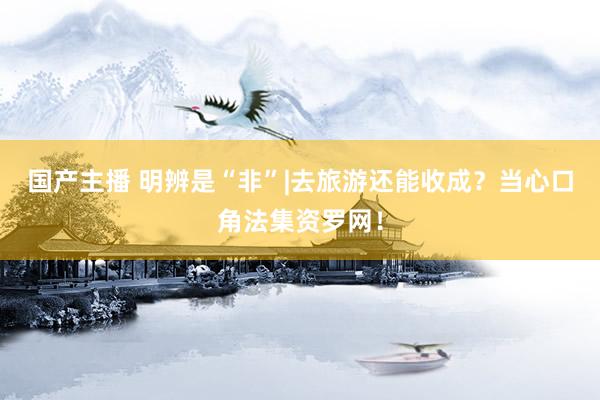 国产主播 明辨是“非”|去旅游还能收成？当心口角法集资罗网！