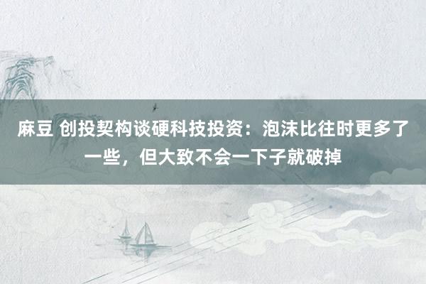 麻豆 创投契构谈硬科技投资：泡沫比往时更多了一些，但大致不会一下子就破掉