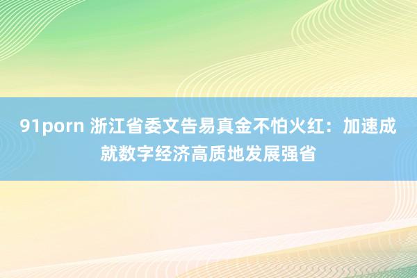 91porn 浙江省委文告易真金不怕火红：加速成就数字经济高质地发展强省
