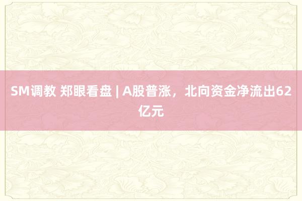 SM调教 郑眼看盘 | A股普涨，北向资金净流出62亿元