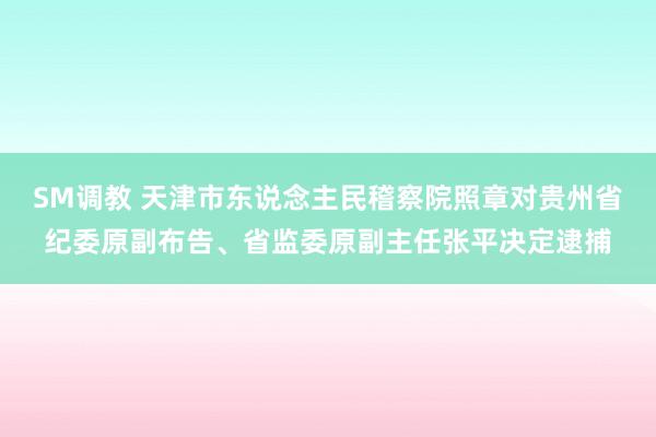 SM调教 天津市东说念主民稽察院照章对贵州省纪委原副布告、省监委原副主任张平决定逮捕