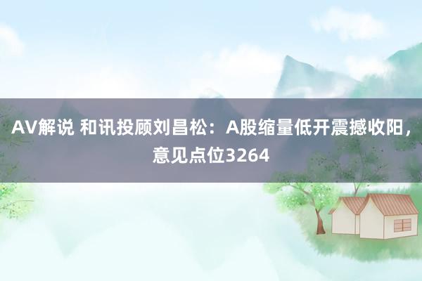 AV解说 和讯投顾刘昌松：A股缩量低开震撼收阳，意见点位3264