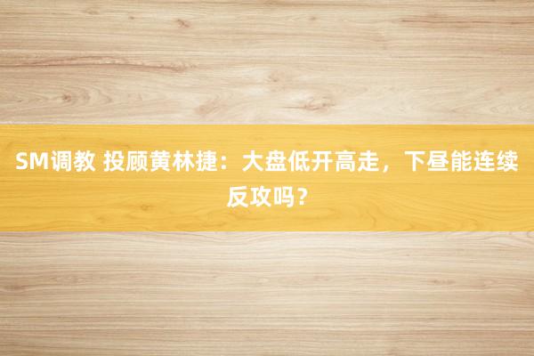 SM调教 投顾黄林捷：大盘低开高走，下昼能连续反攻吗？
