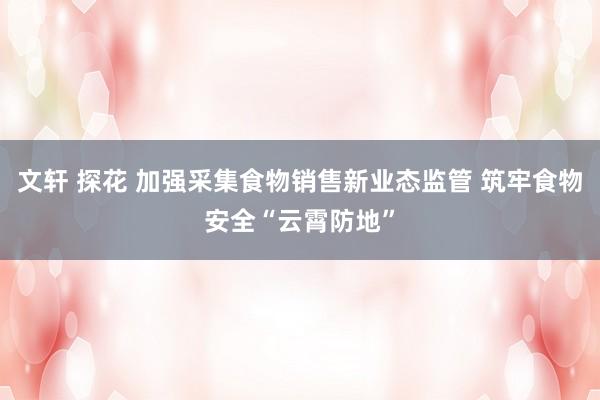 文轩 探花 加强采集食物销售新业态监管 筑牢食物安全“云霄防地”
