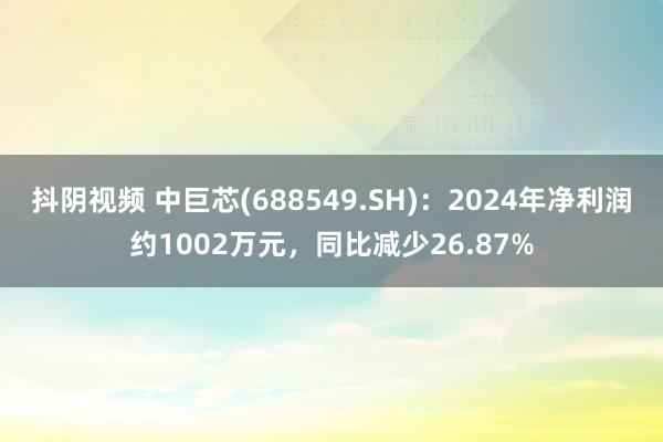 抖阴视频 中巨芯(688549.SH)：2024年净利润约1002万元，同比减少26.87%